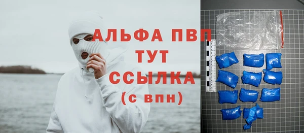 apvp Богородск